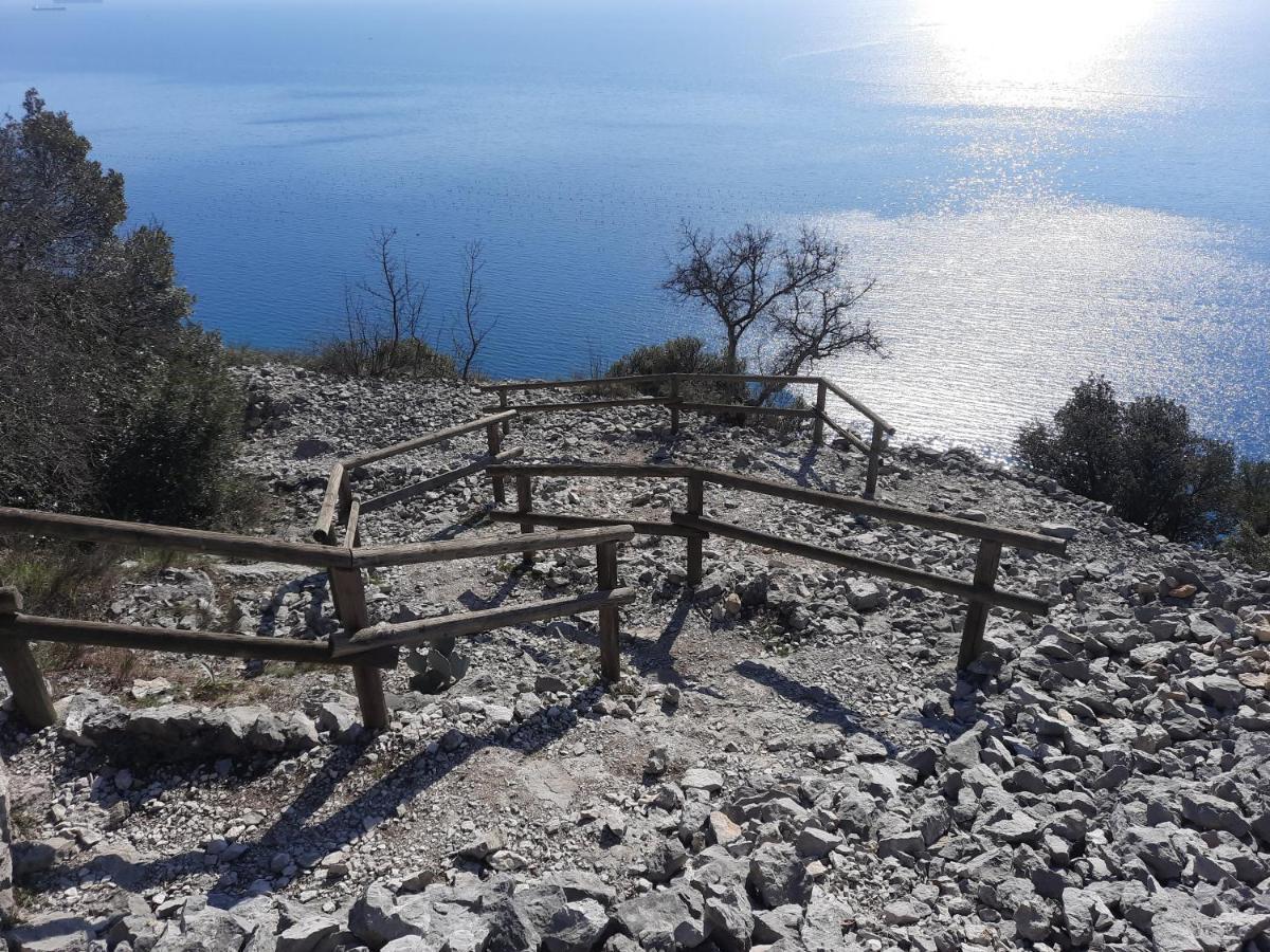 Agriturismo Ai Tre Sentieri أوريسينا المظهر الخارجي الصورة