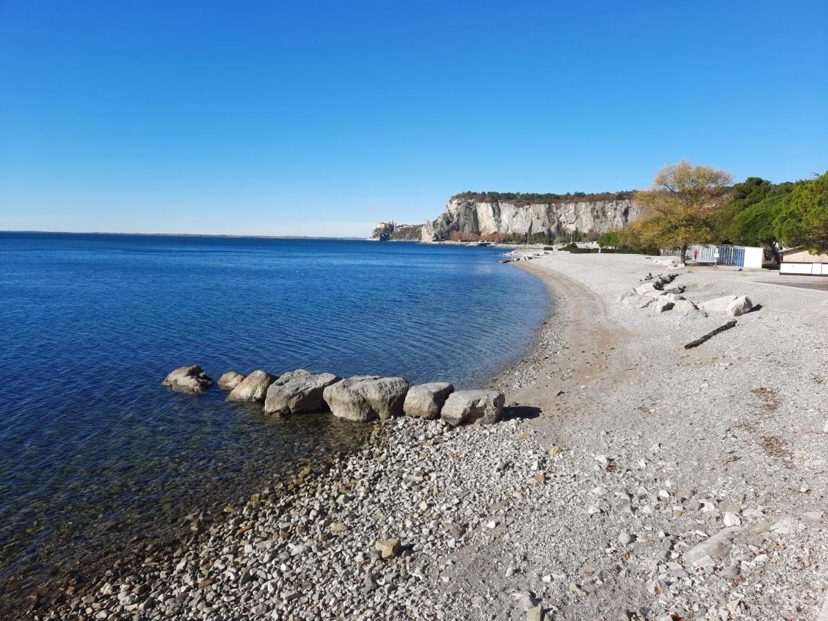 Agriturismo Ai Tre Sentieri أوريسينا المظهر الخارجي الصورة