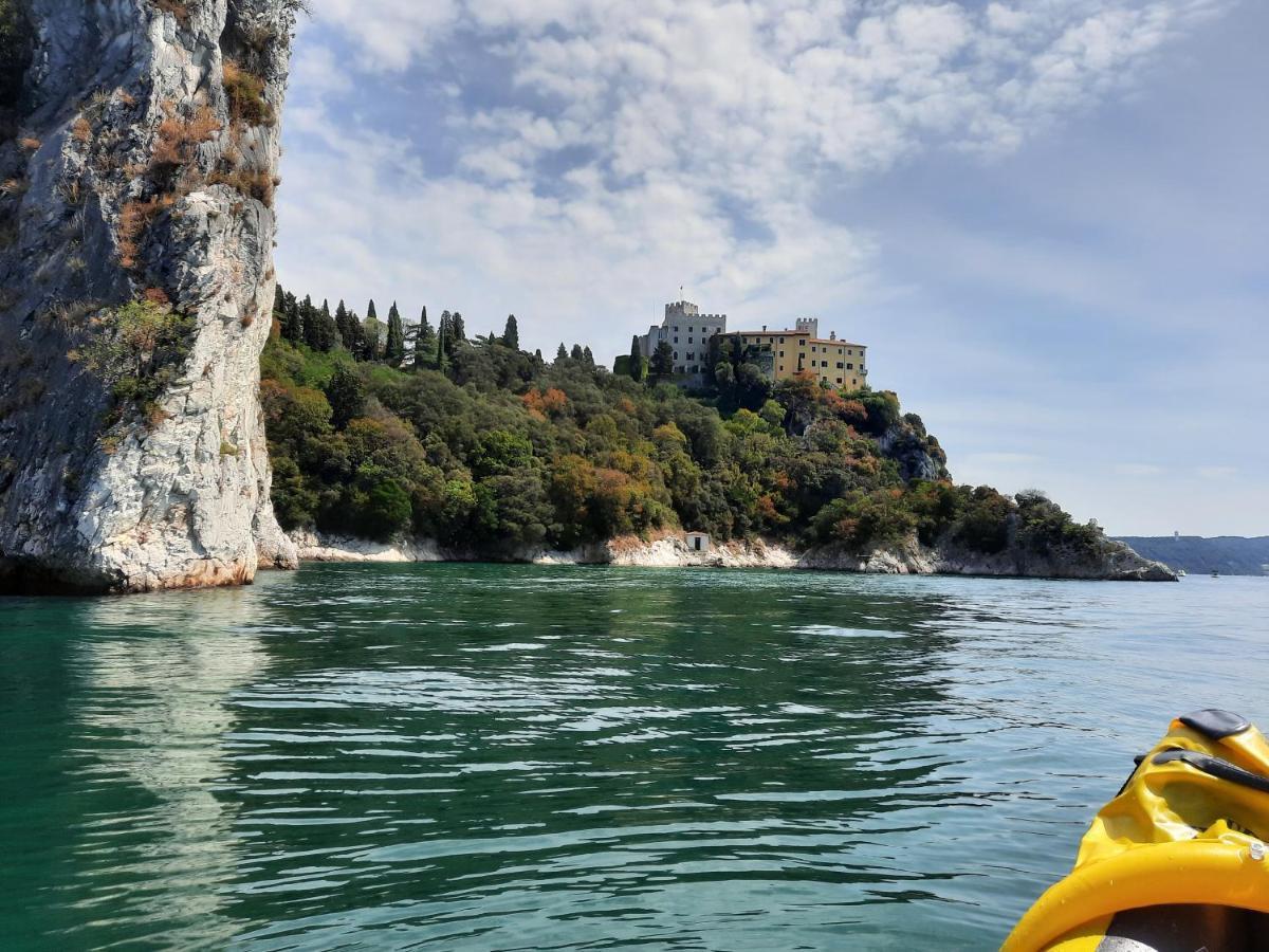 Agriturismo Ai Tre Sentieri أوريسينا المظهر الخارجي الصورة
