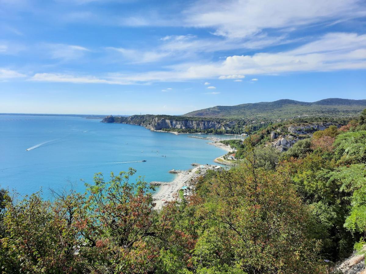 Agriturismo Ai Tre Sentieri أوريسينا المظهر الخارجي الصورة