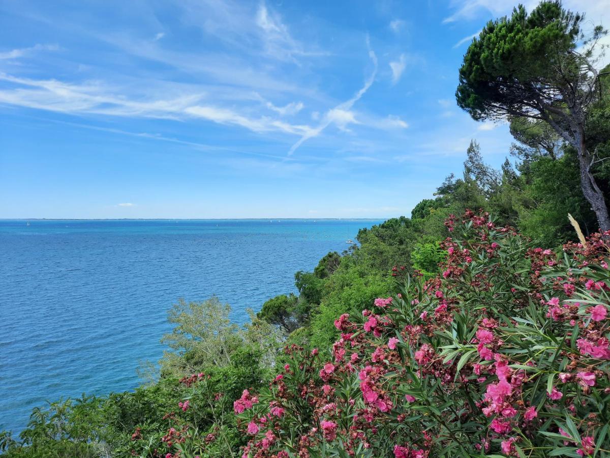 Agriturismo Ai Tre Sentieri أوريسينا المظهر الخارجي الصورة