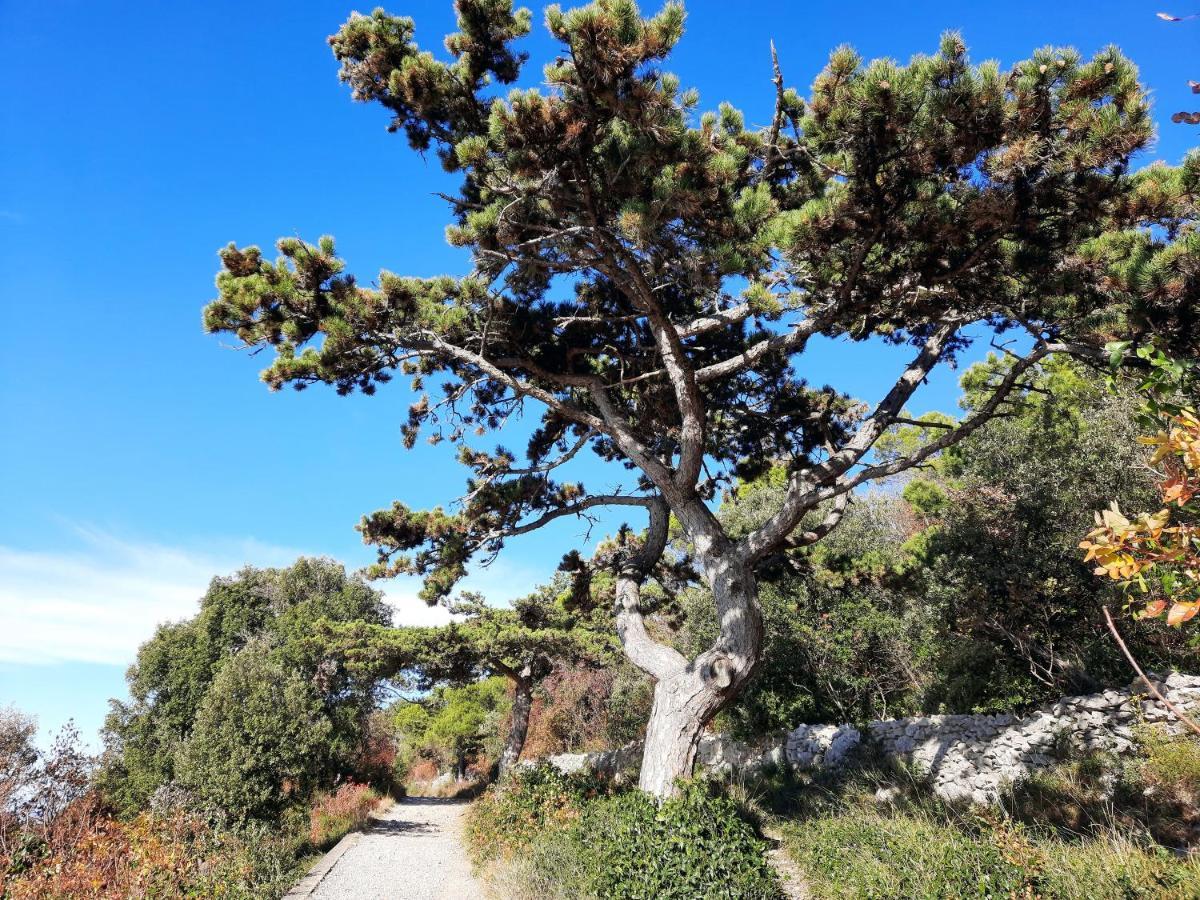 Agriturismo Ai Tre Sentieri أوريسينا المظهر الخارجي الصورة
